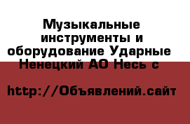 Музыкальные инструменты и оборудование Ударные. Ненецкий АО,Несь с.